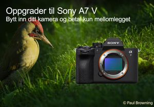 Innbyttekampanje: Sony A7V