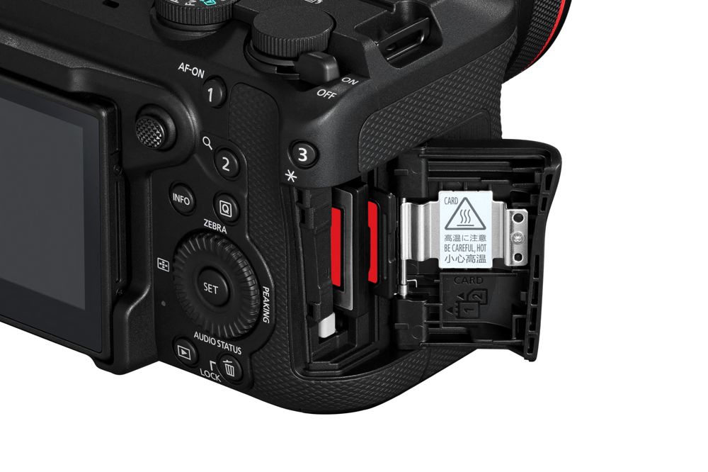 Canon EOS R6 V Hus