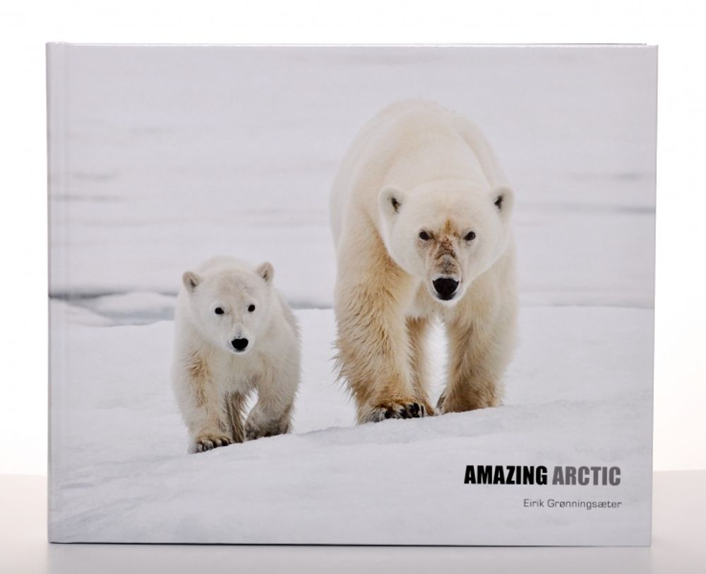 Amazing Arctic – Eirik Grønningsæter