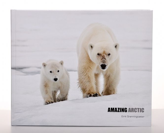 Hovedbilde Amazing Arctic – Eirik Grønningsæter