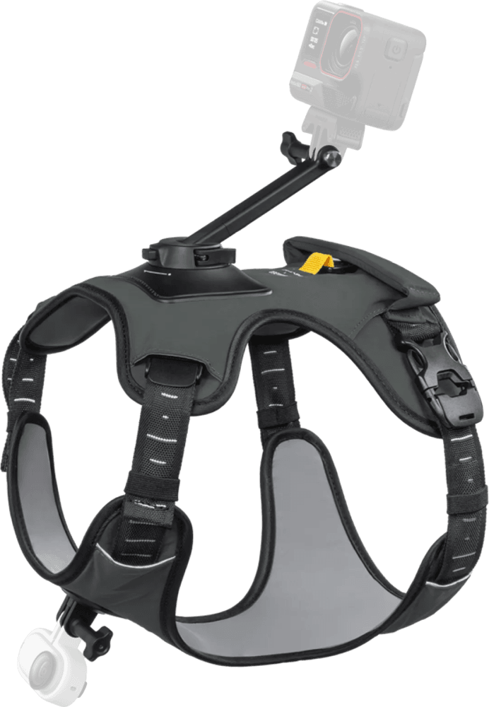 Insta360 Pet Harness Mount Size L
