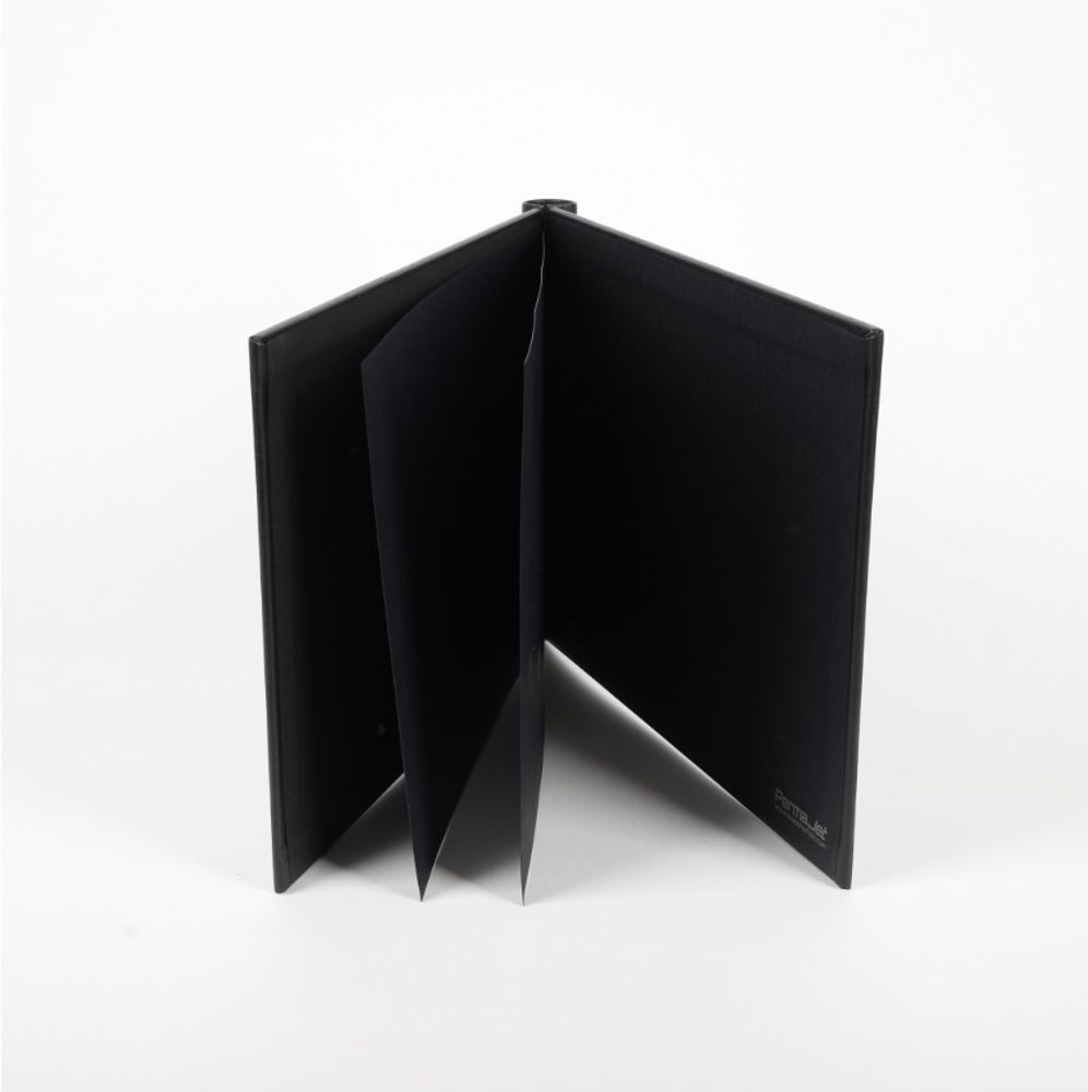 Snapshut Folio Black Landscape A4 15mm